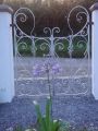 Front gates